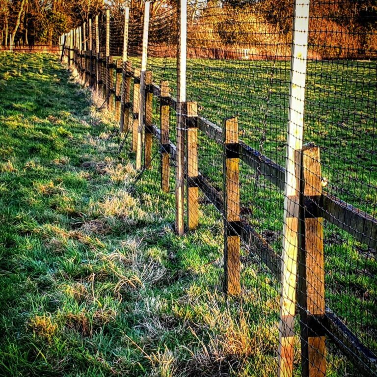 1590 fc24fe6daade627db082ab4a18cc883e 1 768x768