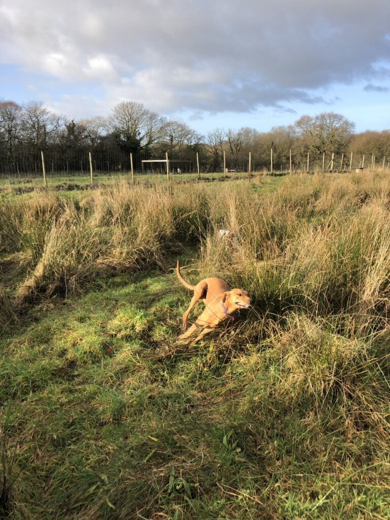 1591 16fb8fd998361f1711f187c3e4408639 1 768x1024