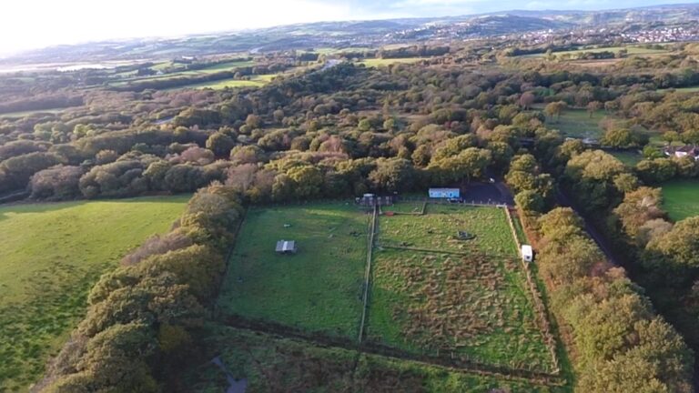 1591 17b58d3ce8c7977478cc5caa8533afc5 1 768x432