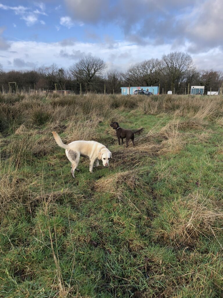 1591 2e91d62d4e009dd9e31de528e26c1f4c 1 768x1024