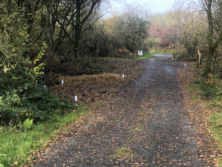 1591 31a5c571fe85dd744a6dd8459091b309 1 768x576