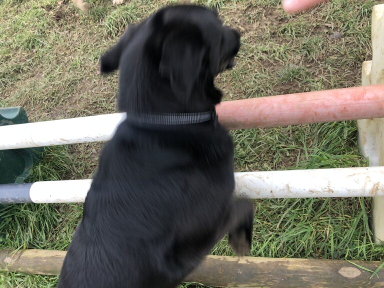 1591 8b53afa7fd448be303edd85bb84775dd 1 768x576