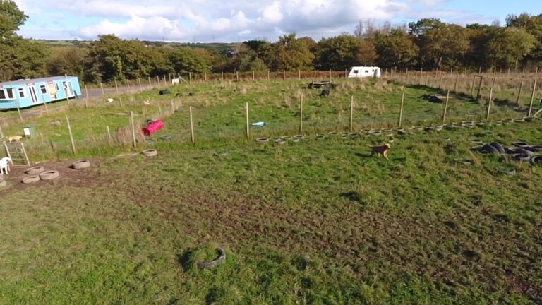 1591 c09a7b0f7a4f1a95cfbfff566af26d9f 1 768x432