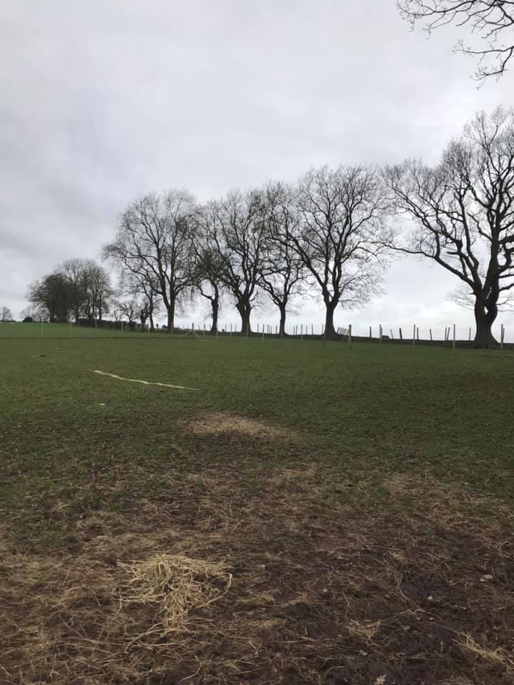 1592 c1bf1d138521b167dad0a2cf66417f54 1