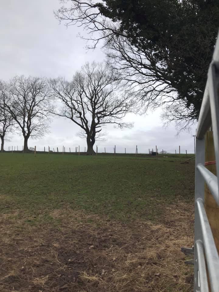 1592 d5149c9289113080cffb8886d12519a7 1