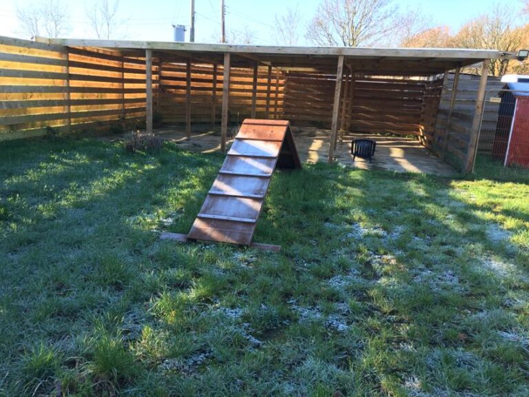 1594 128c9f417c226c4cbc501d693efac4e0 1 768x576