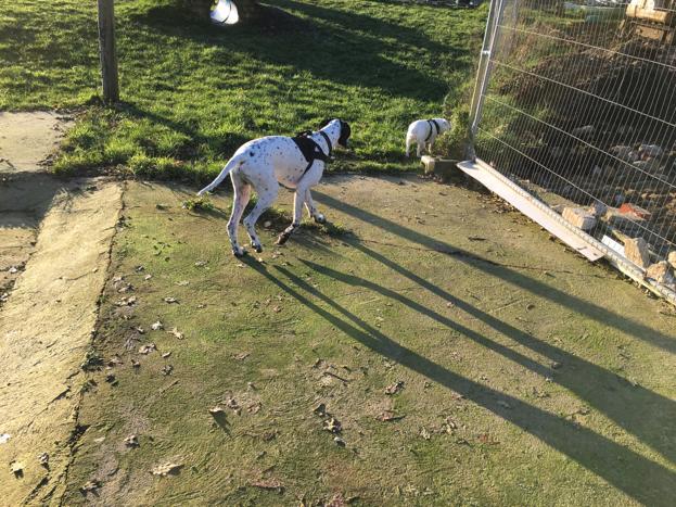 1594 6628a7cf07b7b1a7cb2c510c4195a65e 1