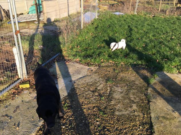 1594 6ca74a161f87128e26403e52e8bd91b5 1