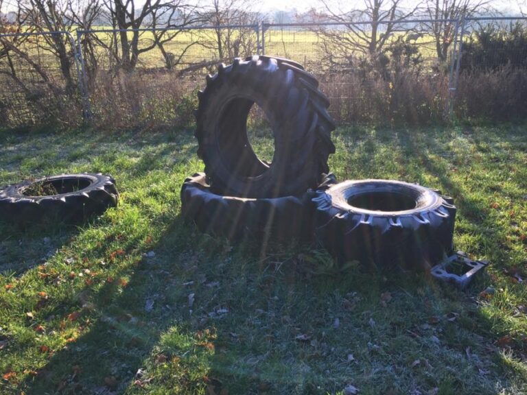 1594 e6d2c662996671b24e9d48cfd70768d3 1 768x576