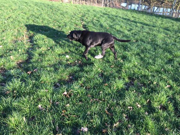 1594 eab6bc680028f66f01dd3100fa1011bd 1