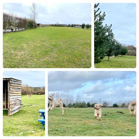 1596 9fc2939407e5d74de999a882a82afccd 1