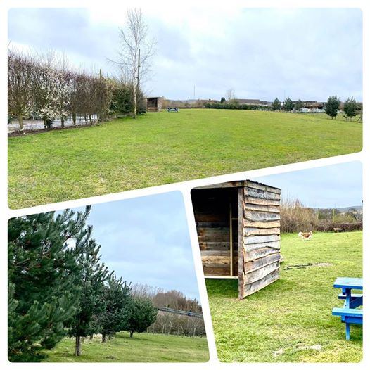 1596 e91368c5249684c2e85ae15adee59a7d 1