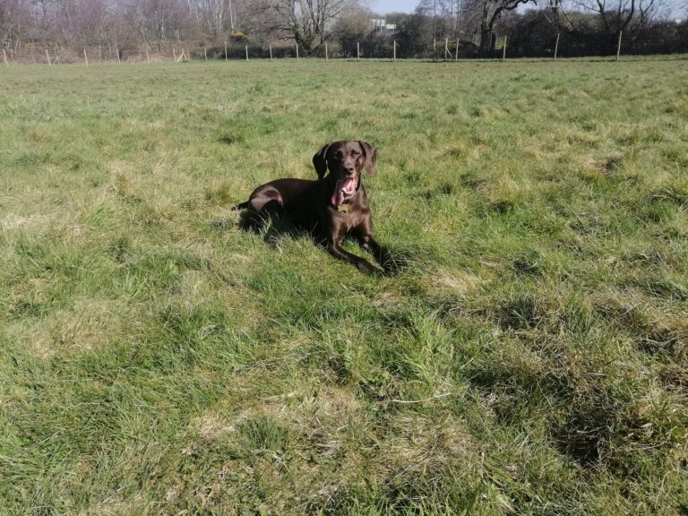 1599 370e70ed92b02e9fcedc5efe61a33757 1 768x576