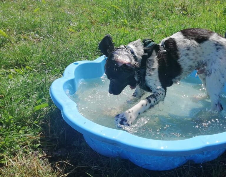 1599 477040a8339bb9bd13f7fd3164d0ab90 1 768x601