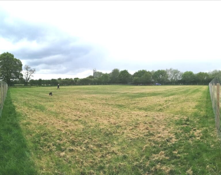 1599 b21592765e706b5328cbd12586c1cf05 1 768x608