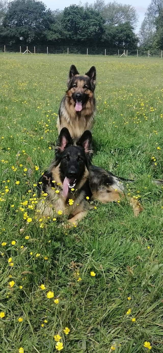 1599 c85eefc872cf7634d00ff21c7879221a 1