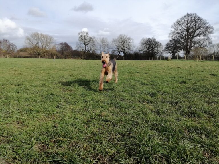 1599 d6e673ec0704e2ac5fdd072caff45d81 1 scaled 768x576