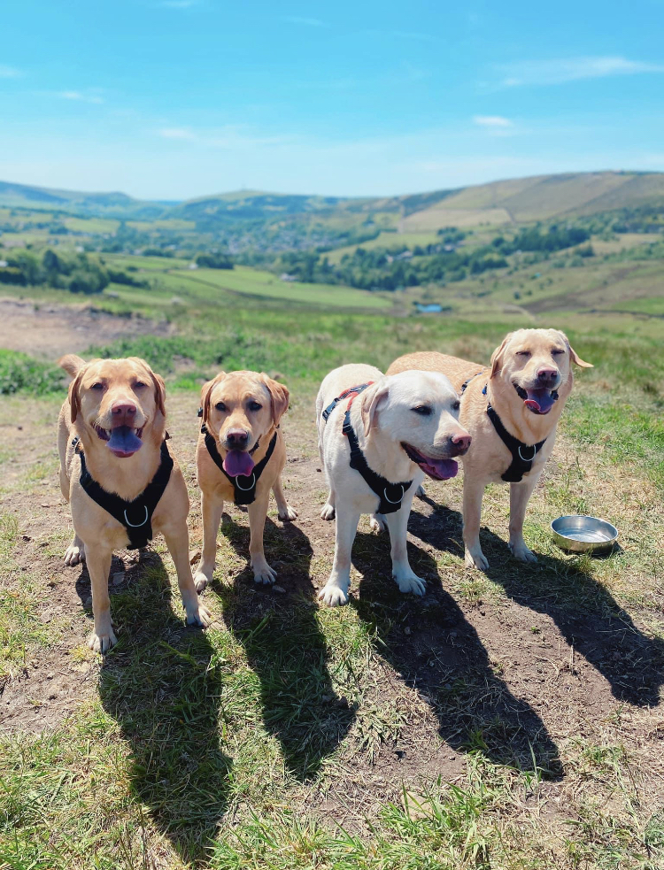 1600 2ac8353e126df879ca676186da57857d 1