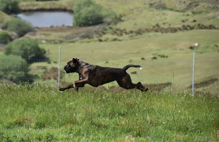 1600 416bf671b44b5a086c09e660bdb34504 1