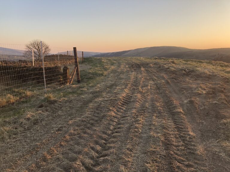 1600 9cc9cf705bbd23e5ee270c14a72cb04f 1 768x576