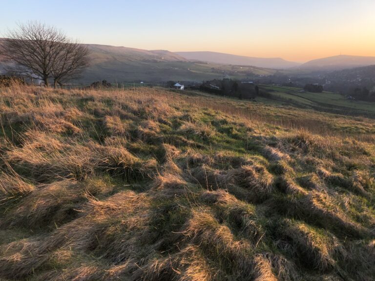 1600 dc40ffb8713fcdbcfd74393d15e8c4fd 1 768x576