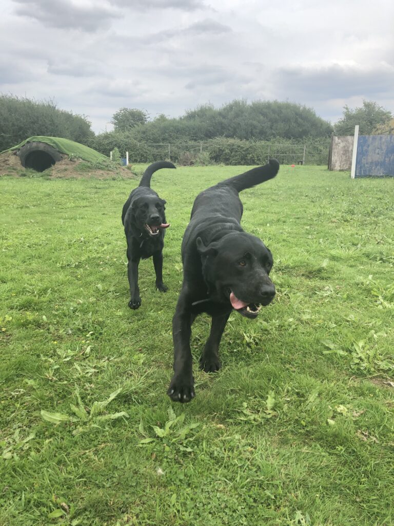 1601 65f603b294f2a8e609a2d2da5675b69c 1 768x1024