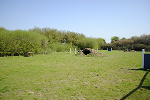 1601 70aa2304cf539ae854dcf9f6b10726c2 1