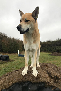 1601 7e65f6ded0d6cdf63ed0ecd9aba0a42f 1