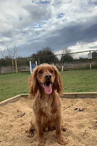 1601 832a8289d900500cbc70f301f4fff432 1