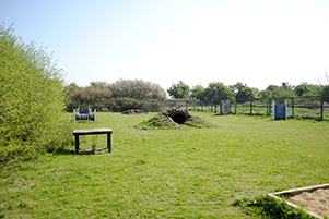 1601 9215ade505492275ed1219a0af5c066f 1