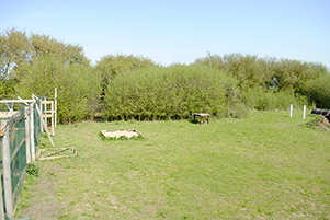 1601 ddd8d80220b9dbffdb78fdb809db4060 1