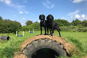 1601 f3bac891e47880c4ccb8fa25f6dcefa2 1