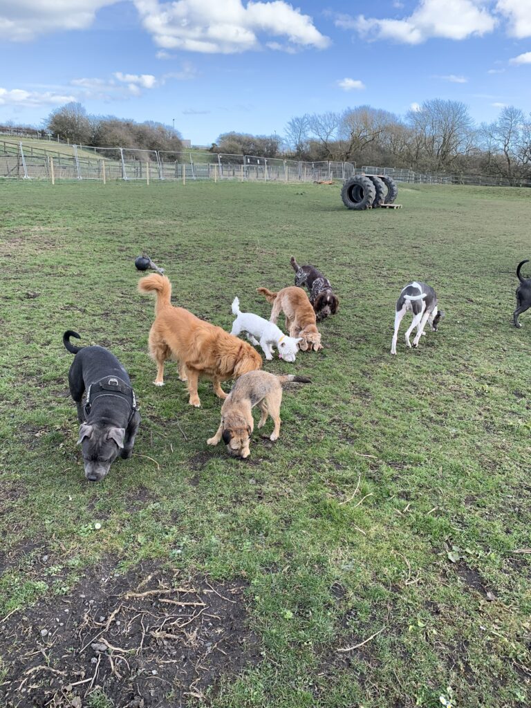 1602 0da601e02076ba1f51fdad3538559e7c 1 768x1024