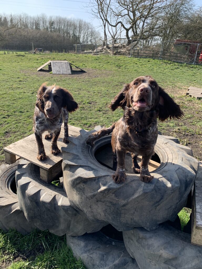 1602 123b9175e66a70d20ef00ca461b30b6f 1 768x1024