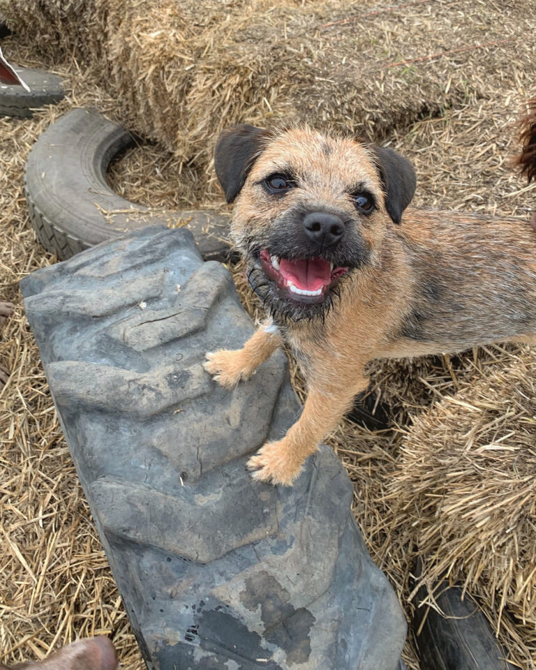 1602 169285046b4c78a1848b992ee7b6e61c 1 768x960