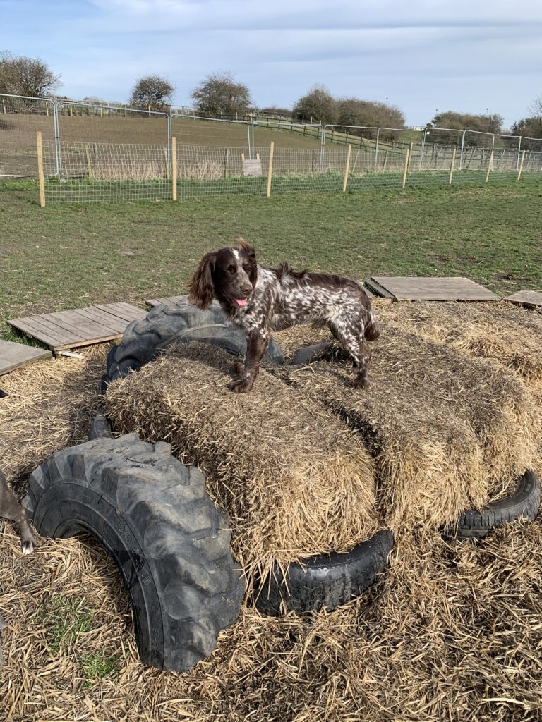 1602 3e1754c1afeec694400879bfafcd93ea 1 768x1024