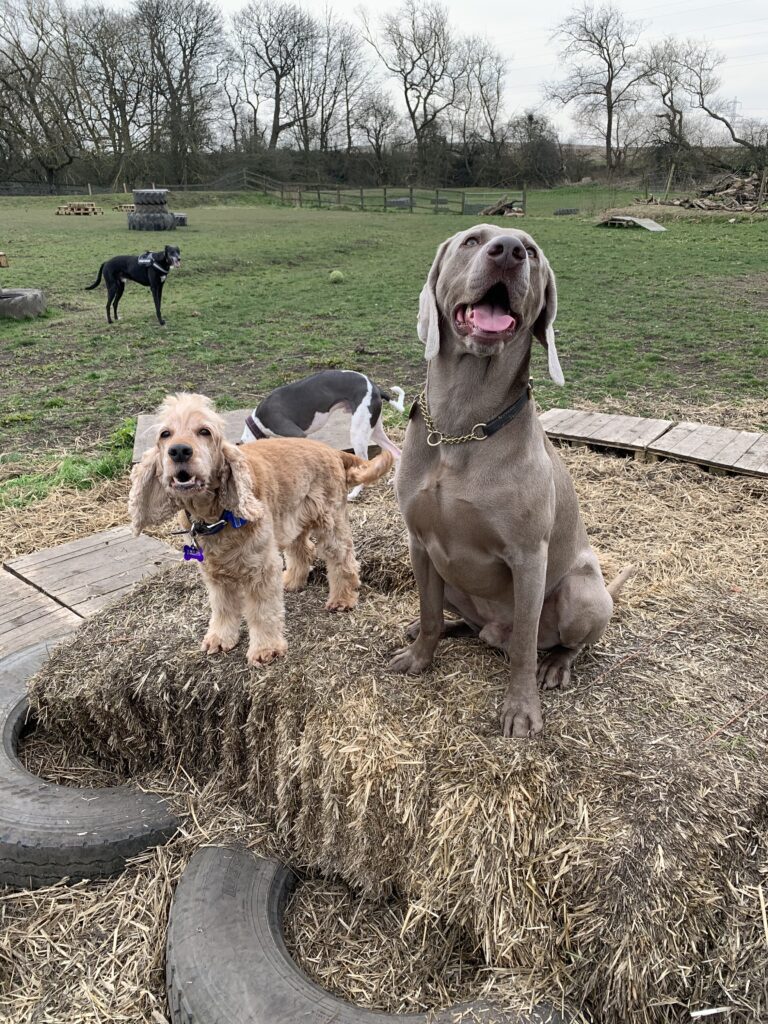 1602 493114df6b8f6587f50b5c7811dbabd1 1 768x1024