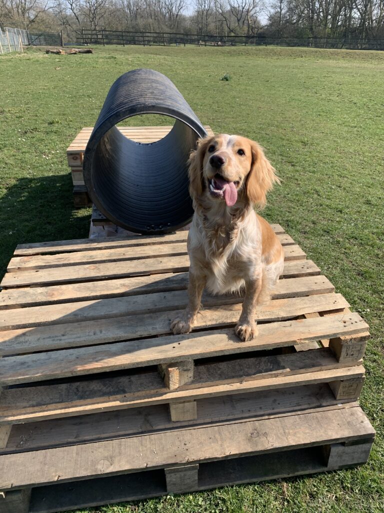 1602 5d91748d9276136151e7a0b95d559ad1 1 768x1024