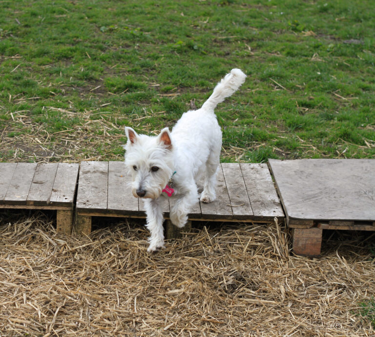 1602 66ab0bc23917ffff5aa3ea624eb2c008 1 768x691