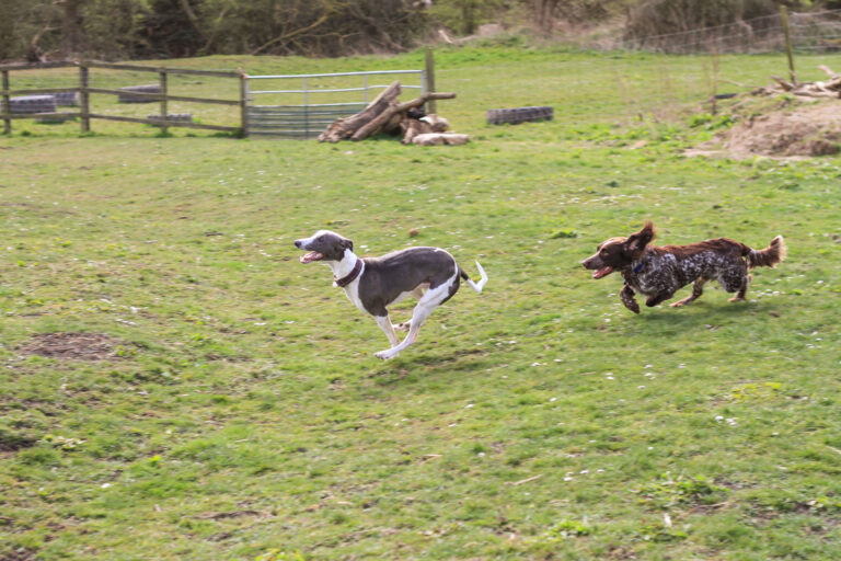 1602 fb7bc6fb7eca149ca0a39edc8f694cef 1 768x512