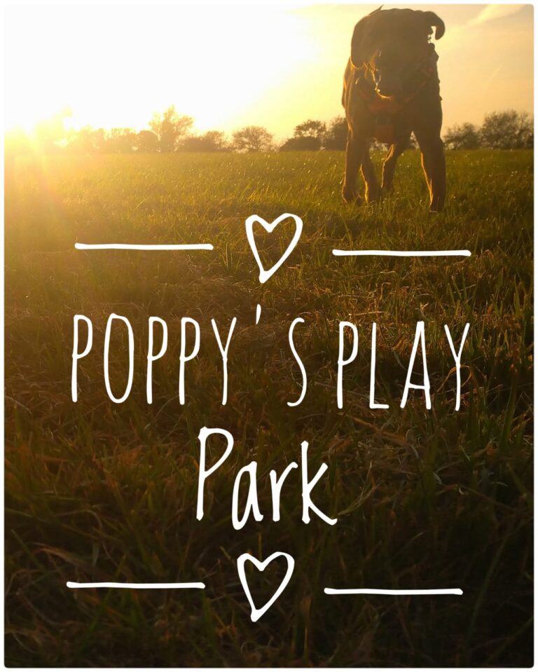 1603 22dd5279d85caee28ab08b96976bc3a1 1 768x959