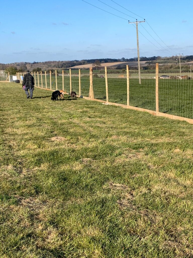 1603 24c14bd2c2d172f1dcec92ab9a17874b 1 768x1024