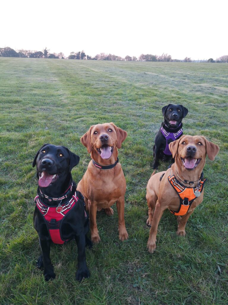 1603 4b6702a325bdc5ff98d7f69e967de946 1 768x1024