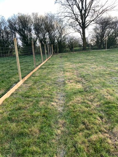 1603 5514d9265a8d57ab8a21e770ef1a8243 1