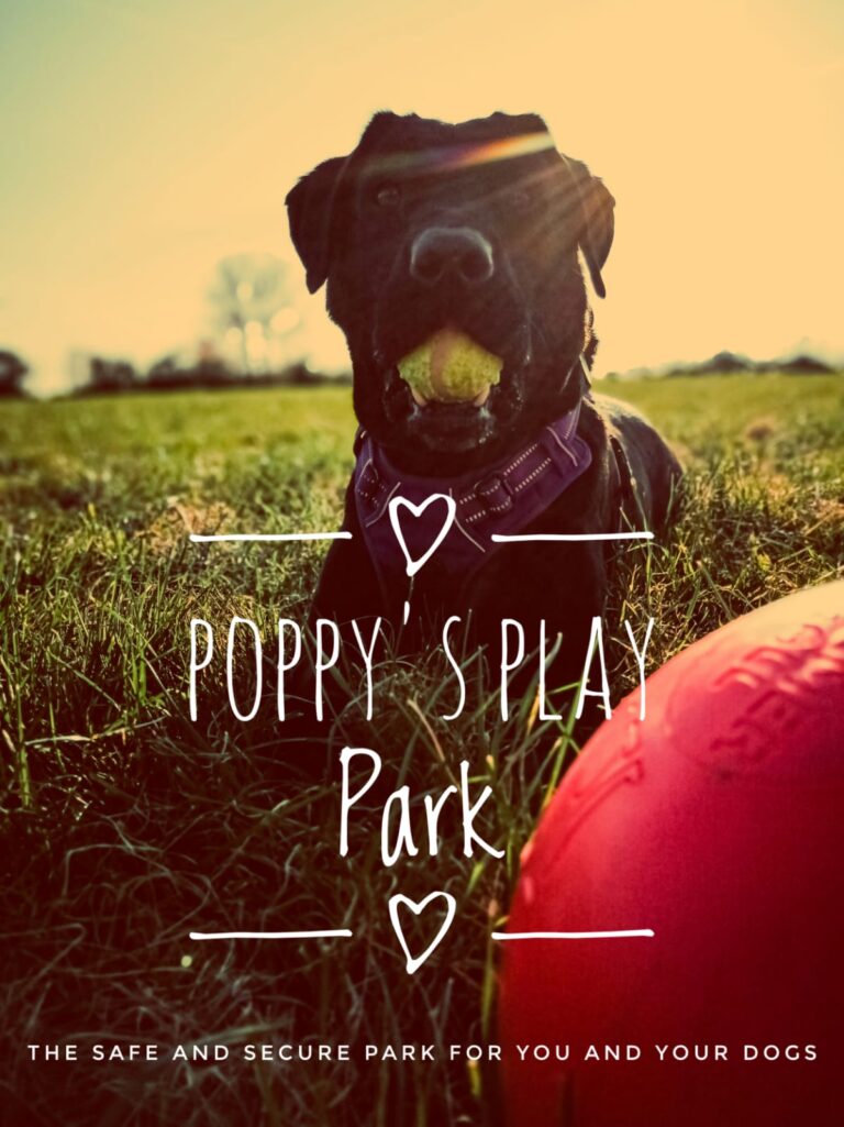 1603 a41f52b2760e52eafa457cfb5d8fed66 1 768x1025