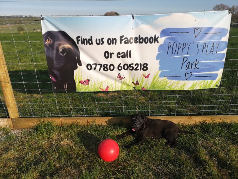 1603 ac46d419af7d9109c7743c47678b0749 1 768x576