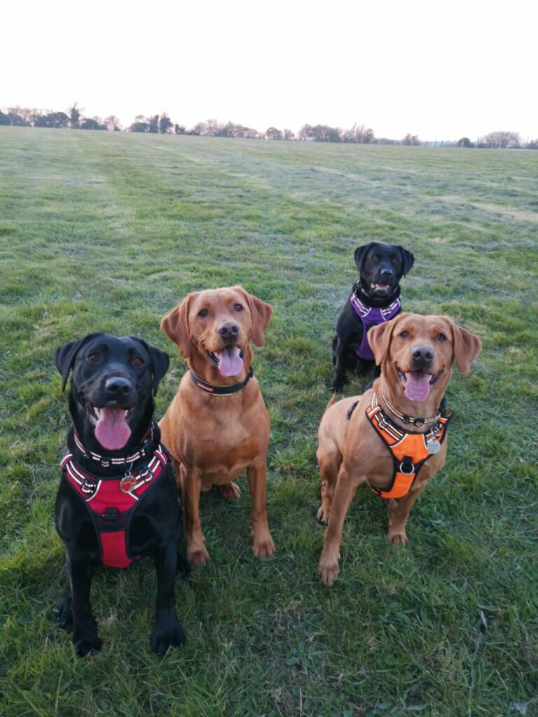 1603 bec5e4169bd6e18c67283eedc51ce2cb 1 768x1024