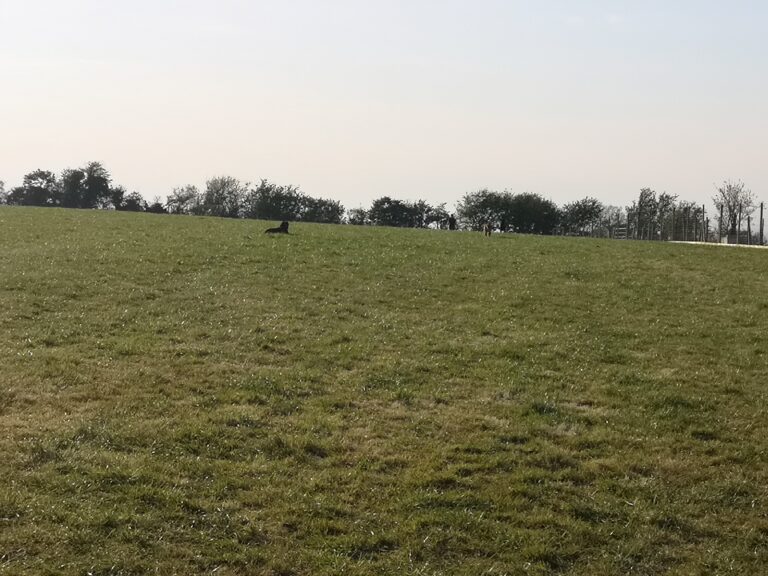 1603 c0ea3cd434fde5c9a2b0676ef5c4cdaa 1 768x576