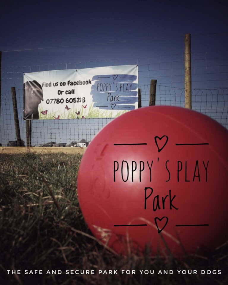 1603 e7b4ed7607bfc1dbd2b33eb70eacf621 1 768x960