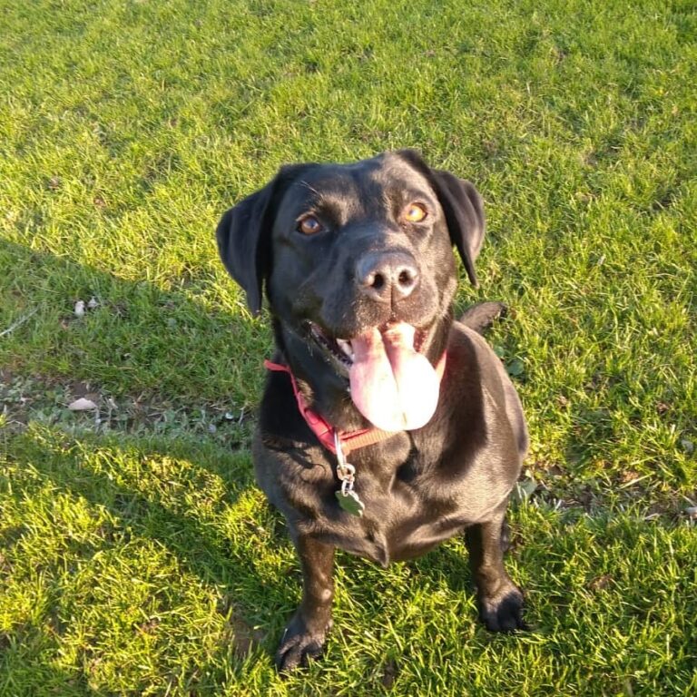 1603 edf8d43274b9d5010788a10b12cdc02c 1 768x768